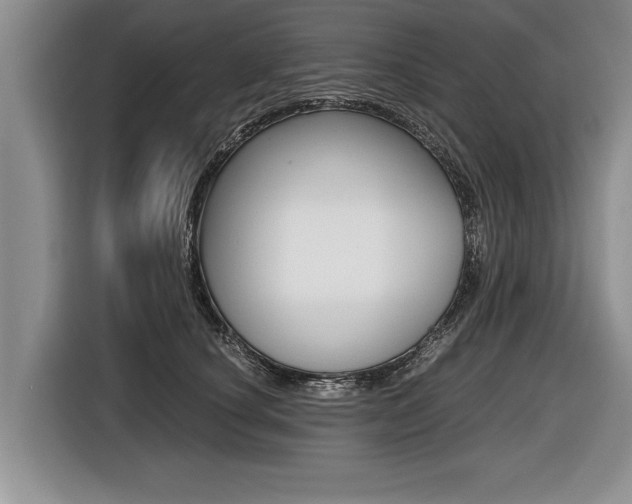 X0000116440660200912081354