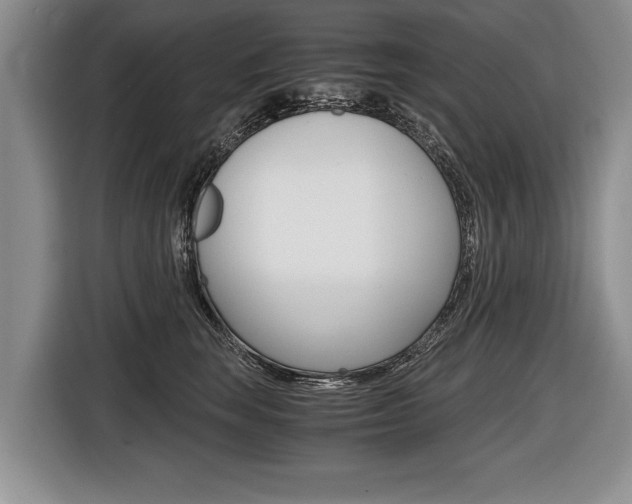 X0000116440663200912081354