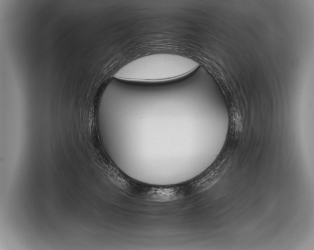 X0000116440665200912081354