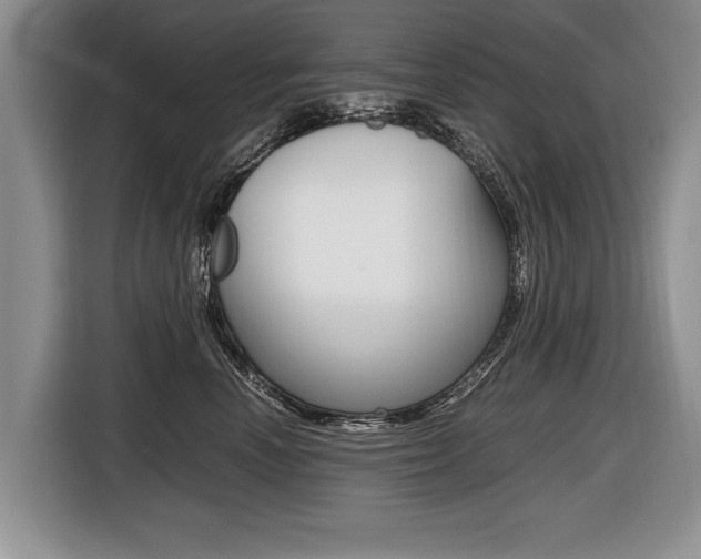 X0000116440666200912081354