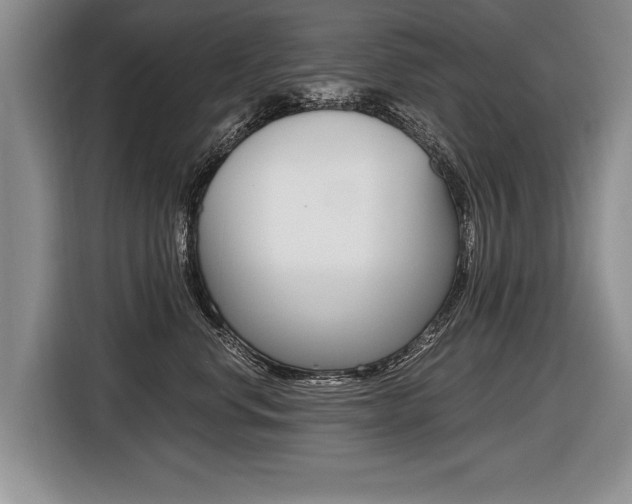 X0000116440668200912081354