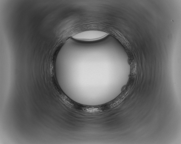 X0000116440669200912081354