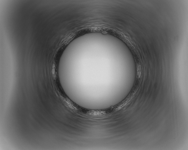 X0000116440670200912081354