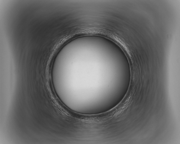 X0000116440673200912081353