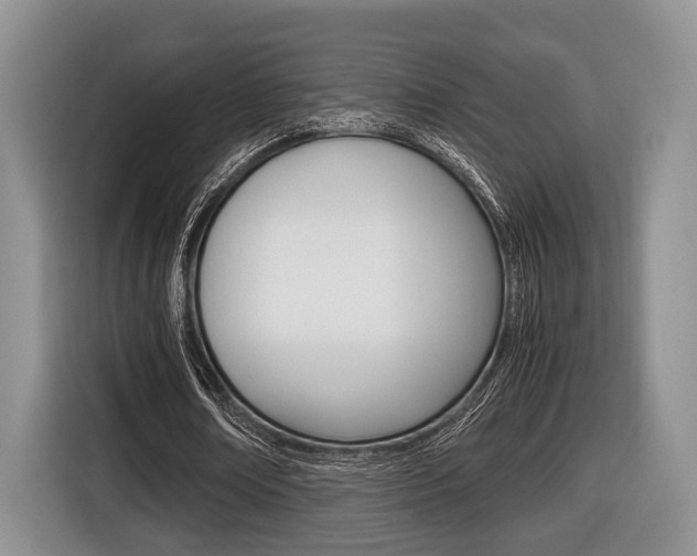 X0000116440674200912081353