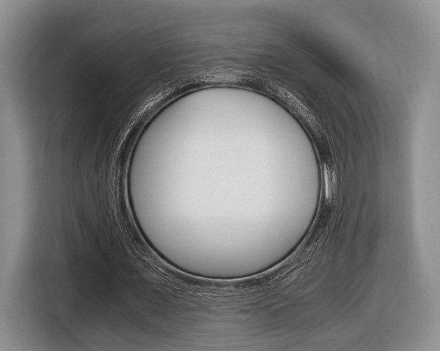 X0000116440675200912081353
