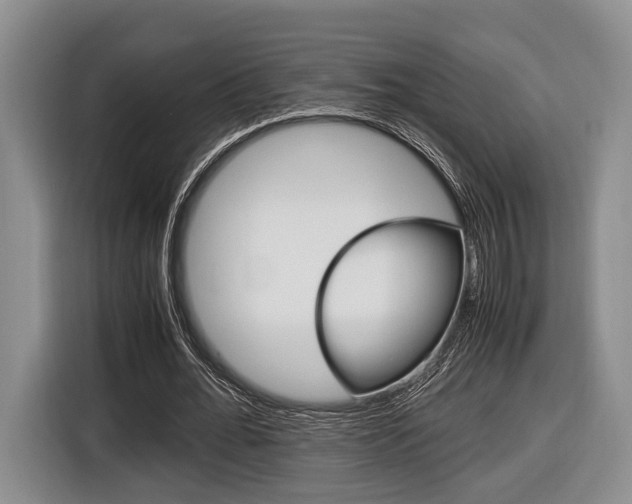 X0000116440676200912081353