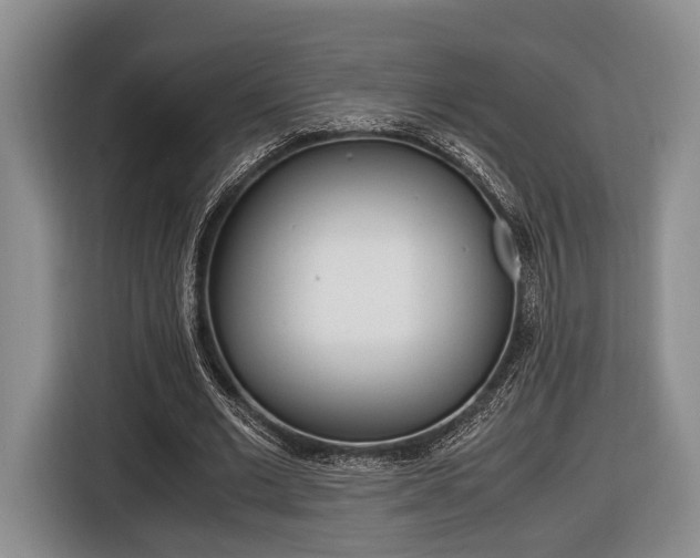 X0000116440677200912081353