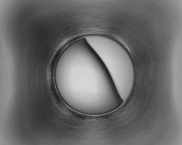 X0000116440679200912081353