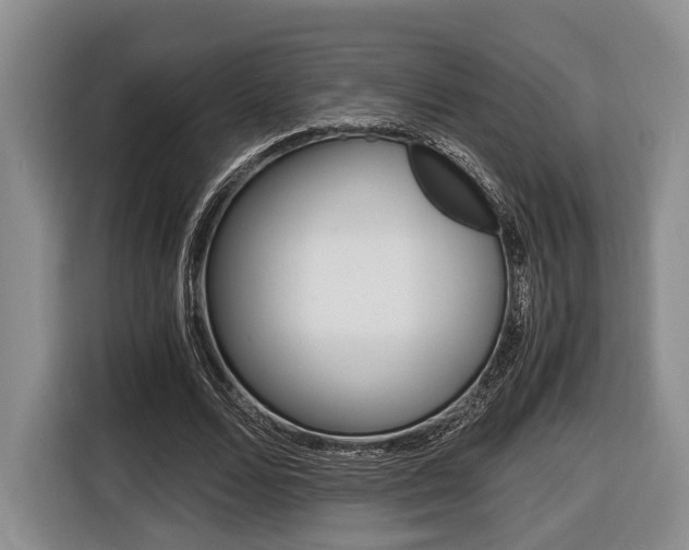 X0000116440680200912081353