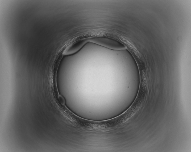X0000116440681200912081353