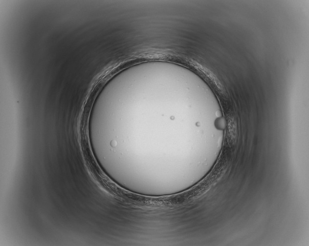X0000116440682200912081353