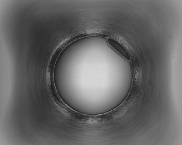 X0000116440684200912081353