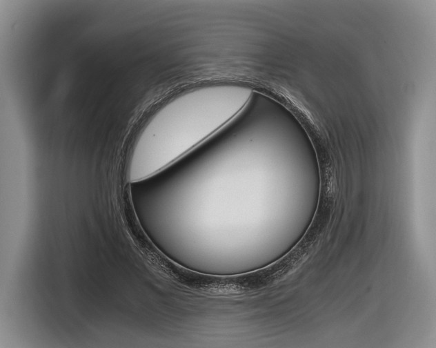 X0000116440685200912081353
