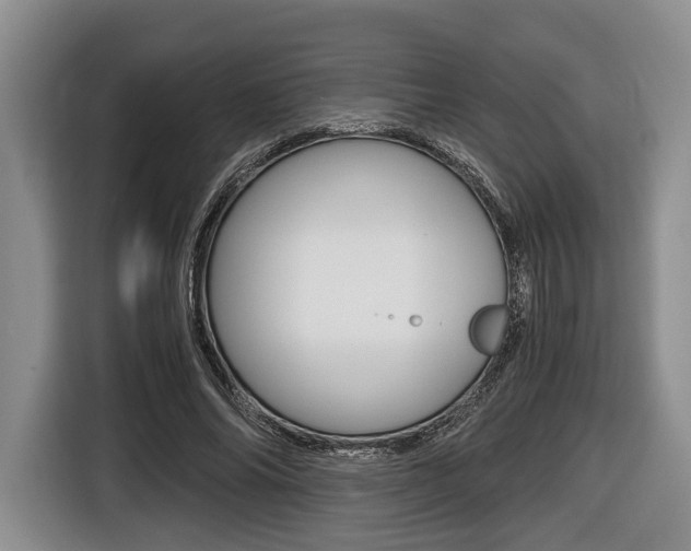 X0000116440686200912081353