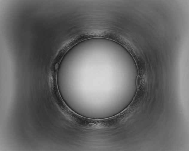 X0000116440688200912081353