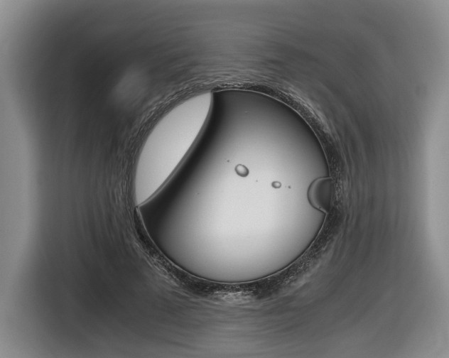 X0000116440689200912081353