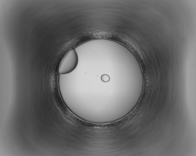 X0000116440690200912081353