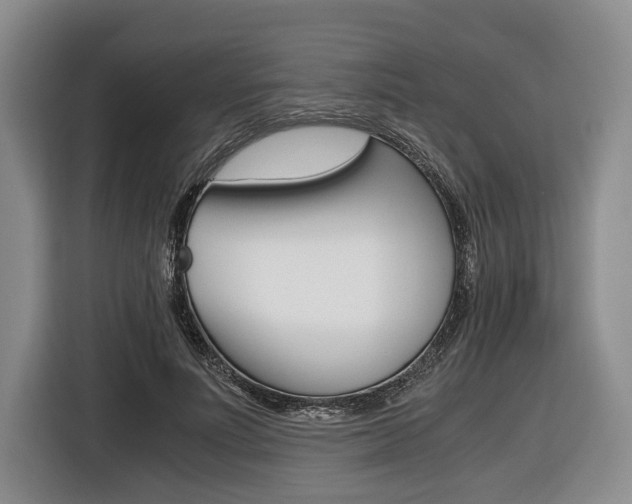 X0000116440691200912081353