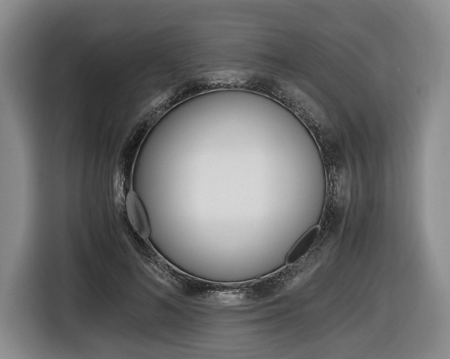 X0000116440692200912081353