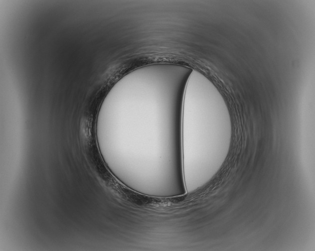 X0000116440695200912081353