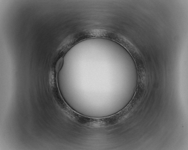 X0000116440696200912081353