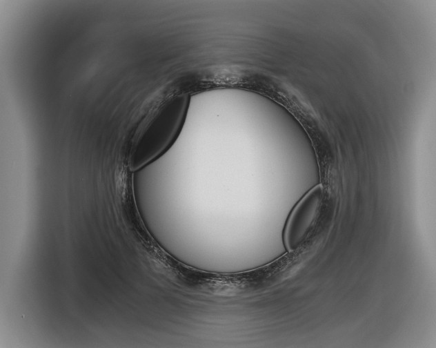 X0000116440697200912081353