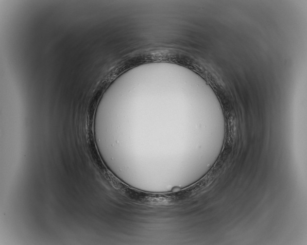 X0000116440698200912081353