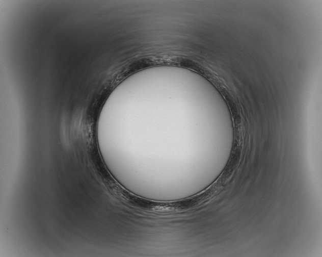 X0000116440699200912081353