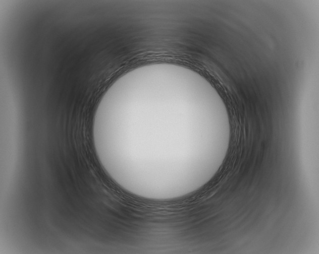 X0000116440700200912081353