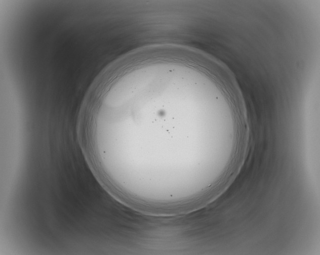 X0000116440701200912081353
