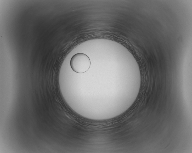 X0000116440704200912081353