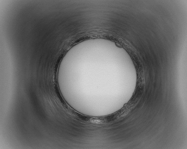 X0000116440706200912081353