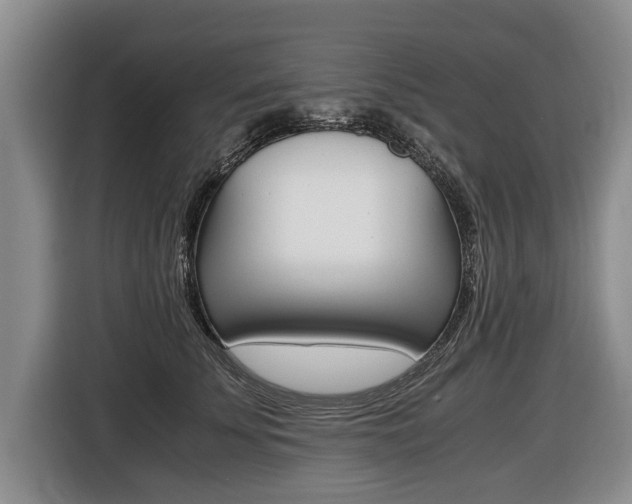 X0000116440707200912081353