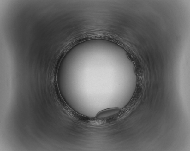 X0000116440708200912081353