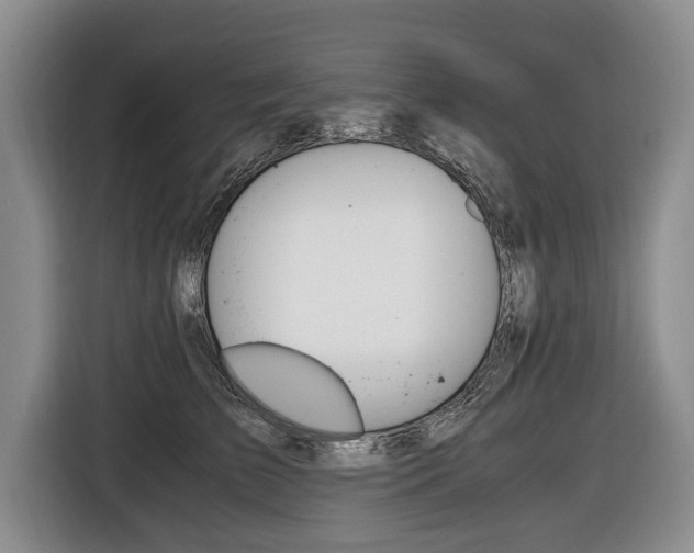 X0000116440709200912081353