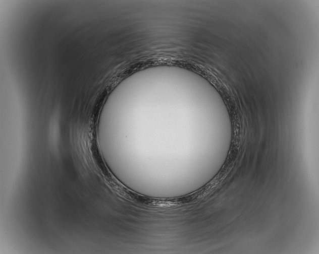 X0000116440710200912081353