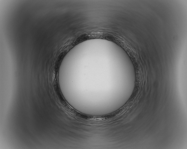X0000116440711200912081353