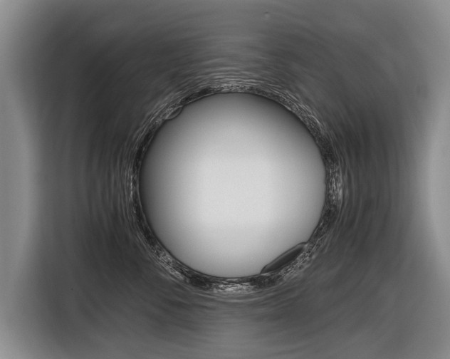 X0000116440716200912081353