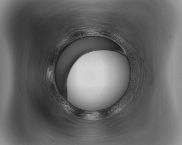 X0000116440720200912081353