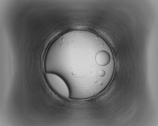 X0000116440721200912081352