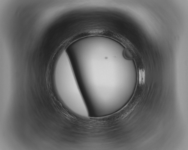 X0000116440723200912081352