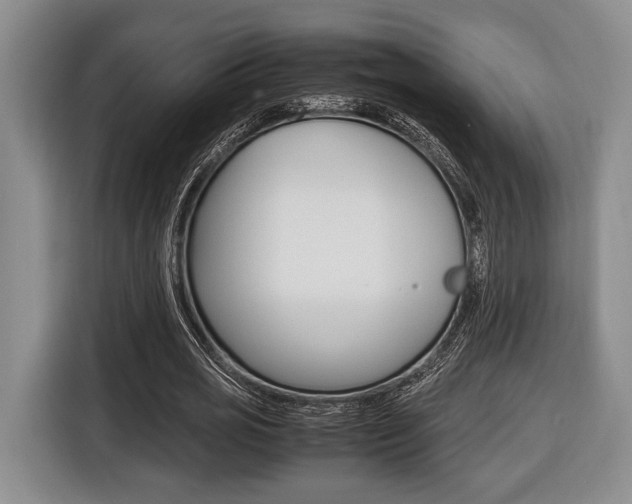 X0000116440725200912081352