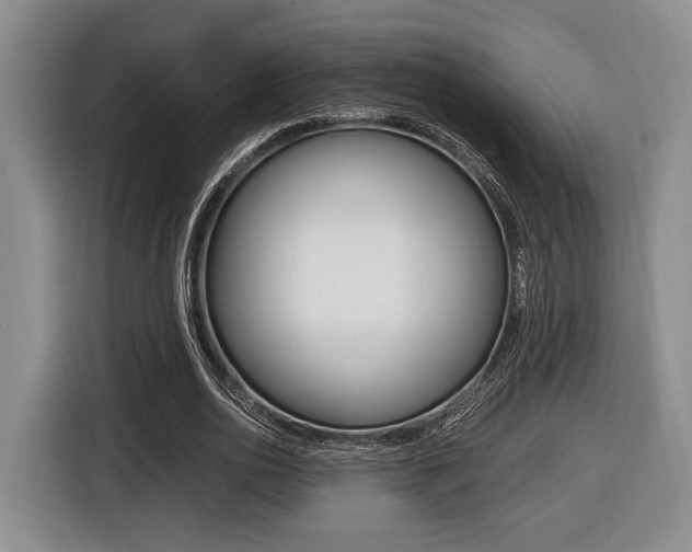 X0000116440726200912081352