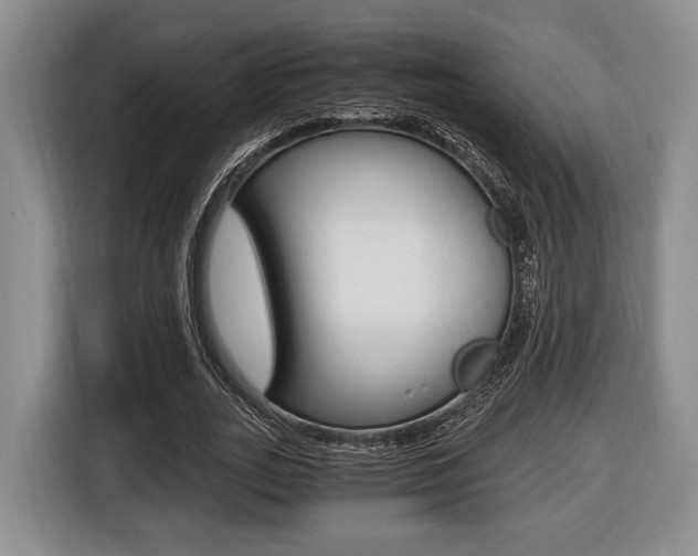 X0000116440727200912081352