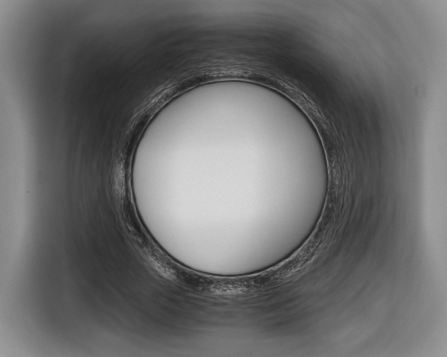 X0000116440729200912081352