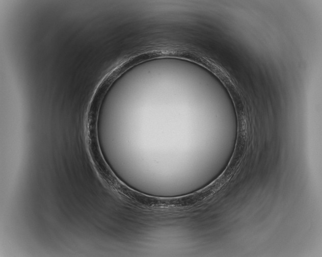 X0000116440730200912081352