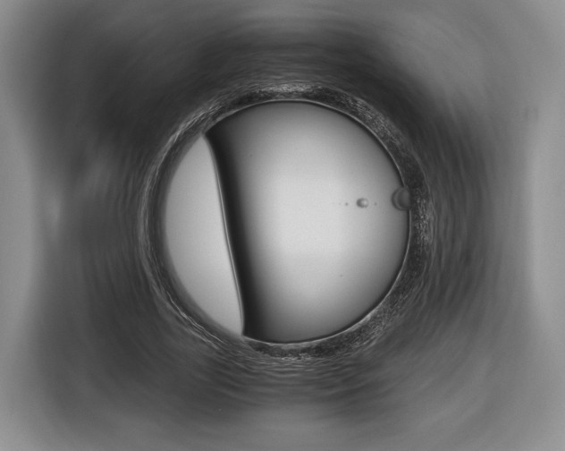 X0000116440731200912081352