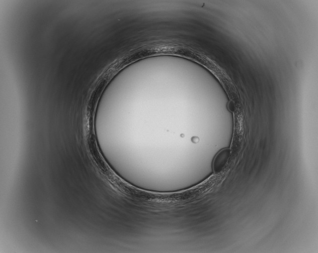 X0000116440733200912081352