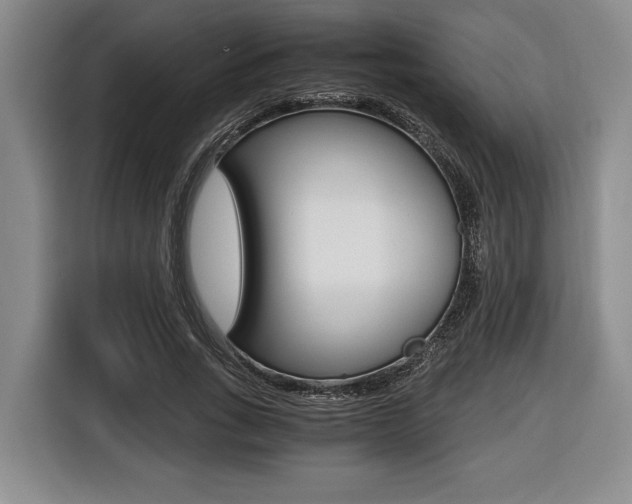 X0000116440735200912081352
